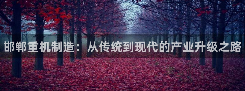 顺盈娱乐彩票怎么样