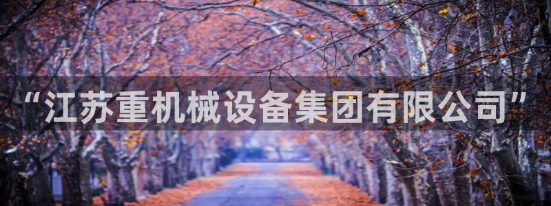 顺盈娱乐铜333OO