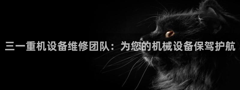 顺盈娱乐主管待判官333OO